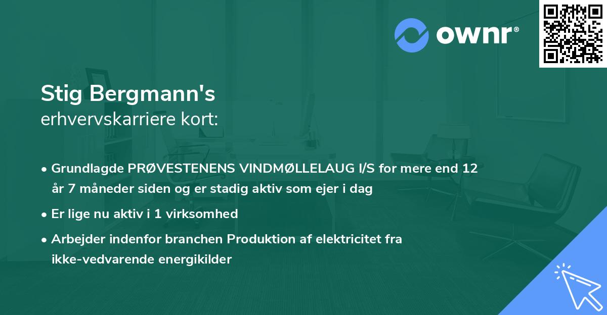 Stig Bergmann's erhvervskarriere kort