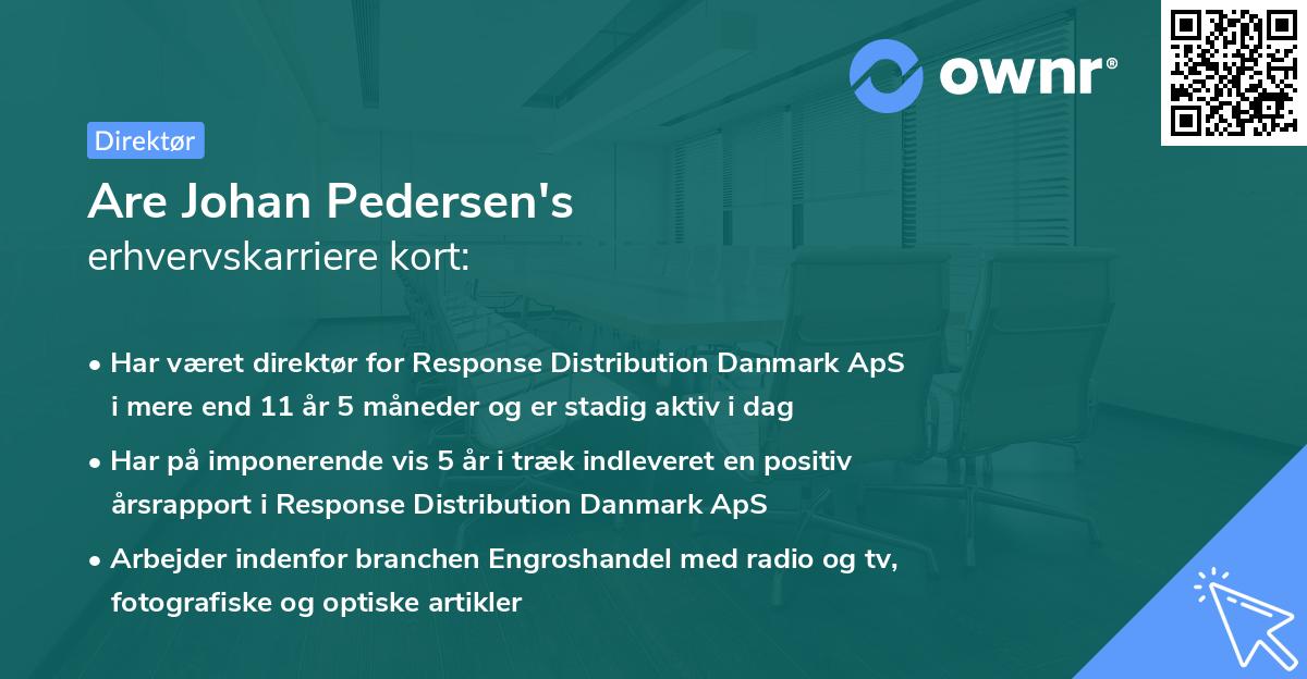 Are Johan Pedersen's erhvervskarriere kort