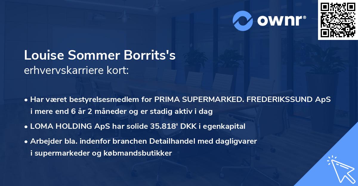 Louise Sommer Borrits's erhvervskarriere kort