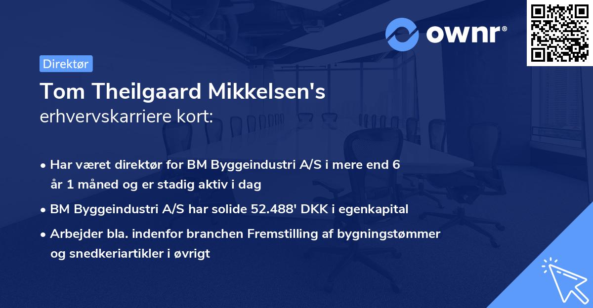 Tom Theilgaard Mikkelsen's erhvervskarriere kort
