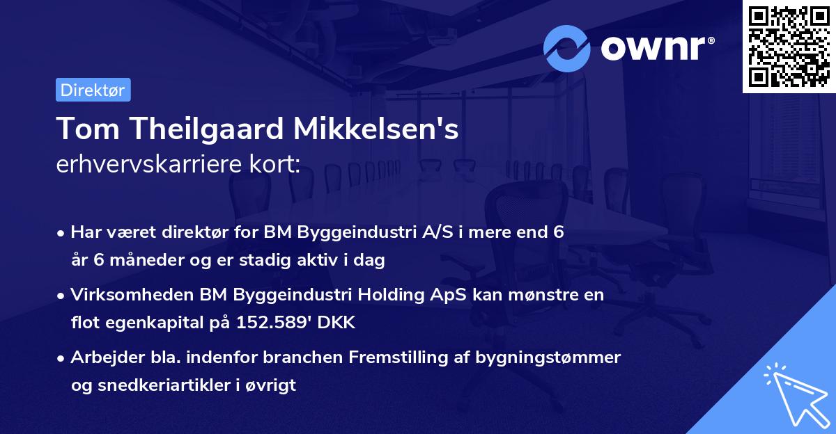 Tom Theilgaard Mikkelsen's erhvervskarriere kort