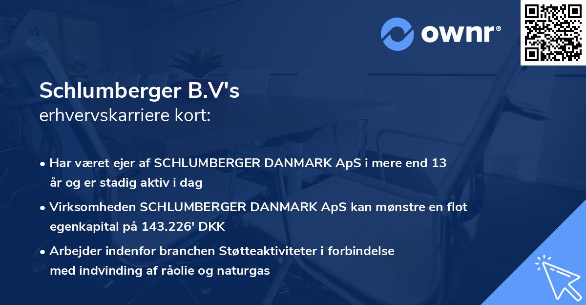 Schlumberger B.V's erhvervskarriere kort