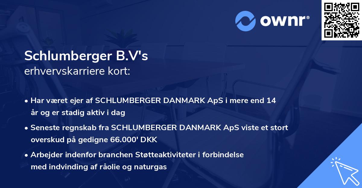 Schlumberger B.V's erhvervskarriere kort
