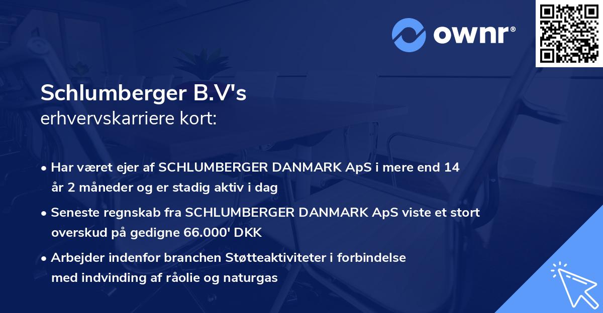 Schlumberger B.V's erhvervskarriere kort