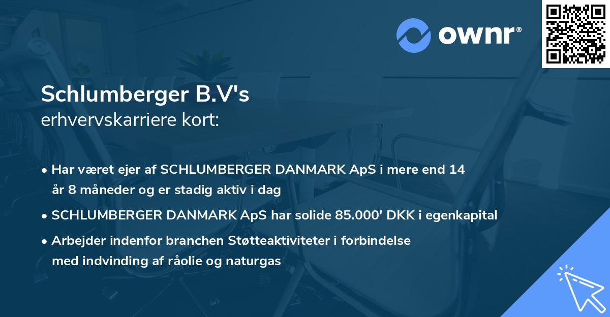 Schlumberger B.V's erhvervskarriere kort