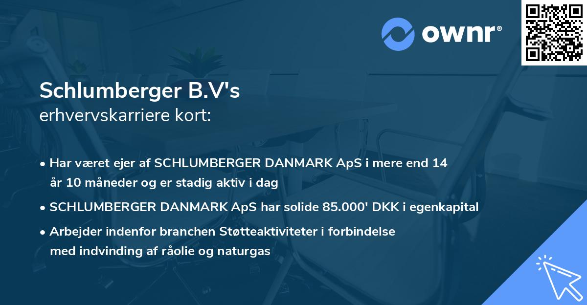Schlumberger B.V's erhvervskarriere kort
