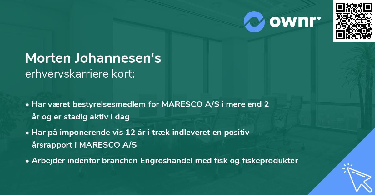 Morten Johannesen's erhvervskarriere kort