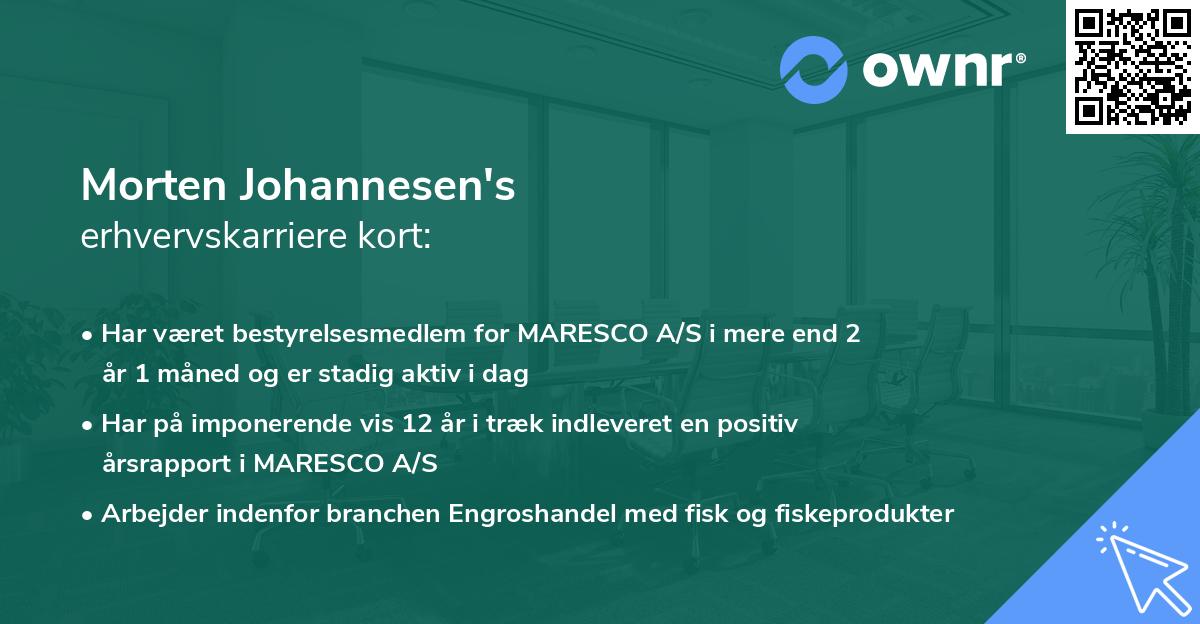 Morten Johannesen's erhvervskarriere kort