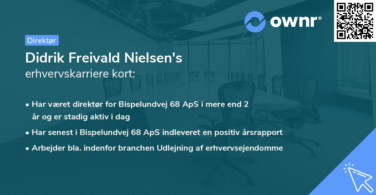 Didrik Freivald Nielsen's erhvervskarriere kort