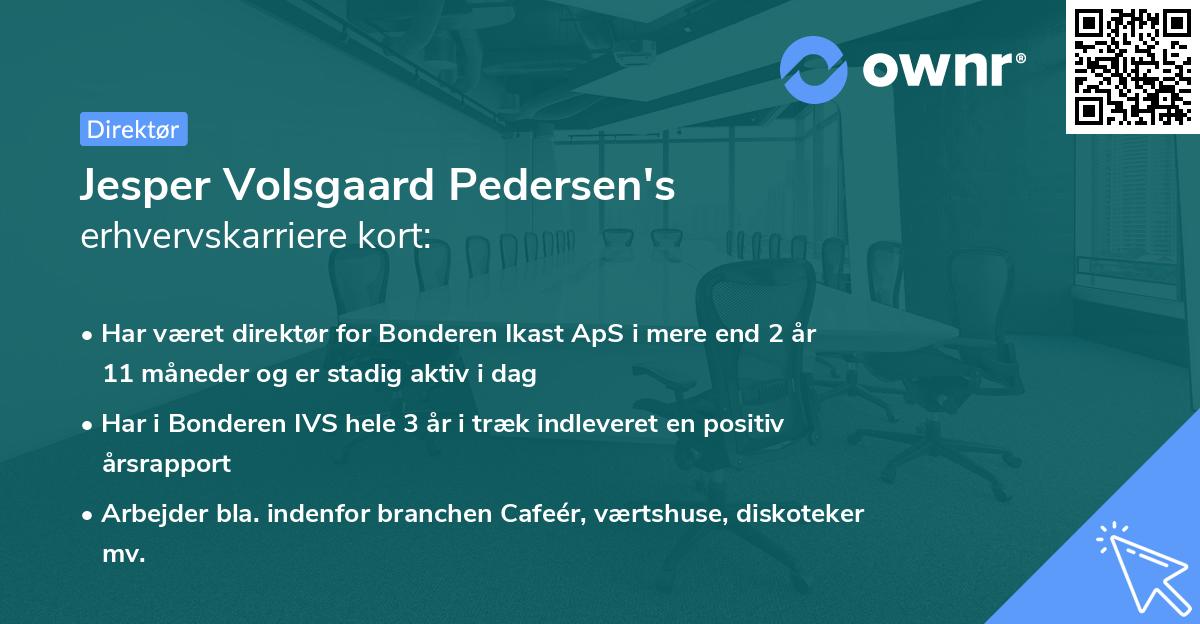 Jesper Volsgaard Pedersen's erhvervskarriere kort