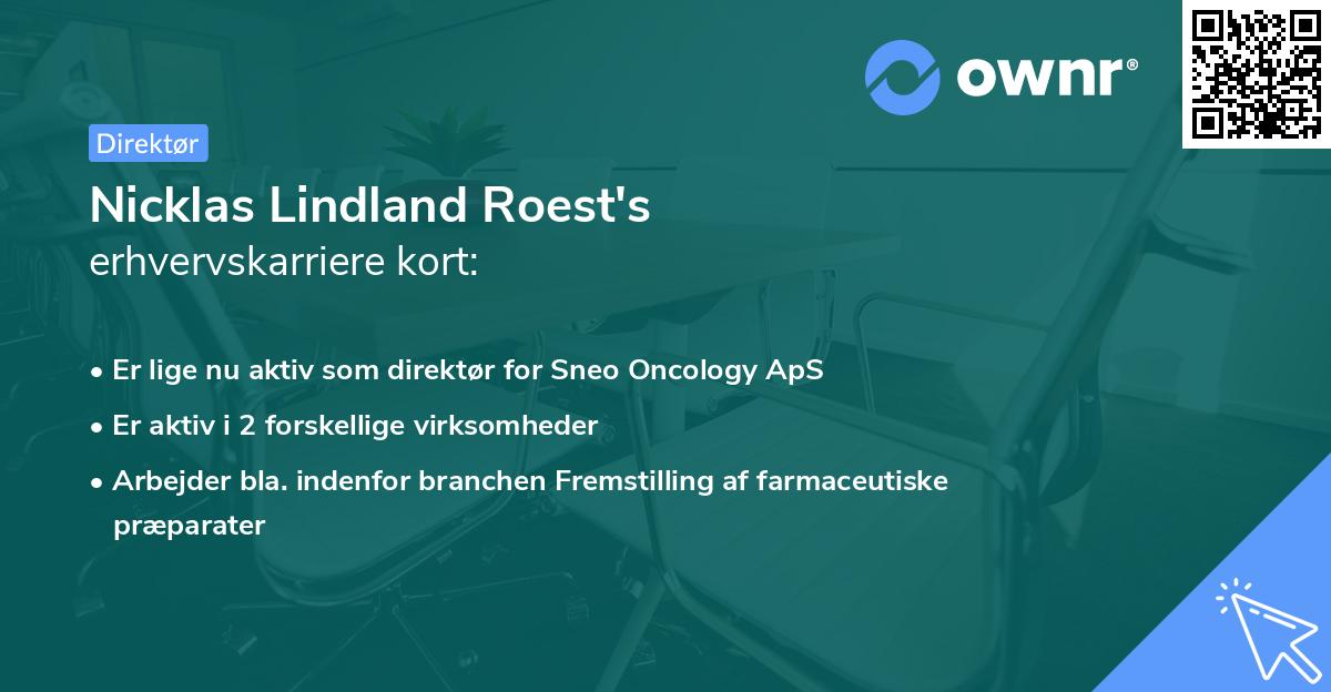 Nicklas Lindland Roest's erhvervskarriere kort