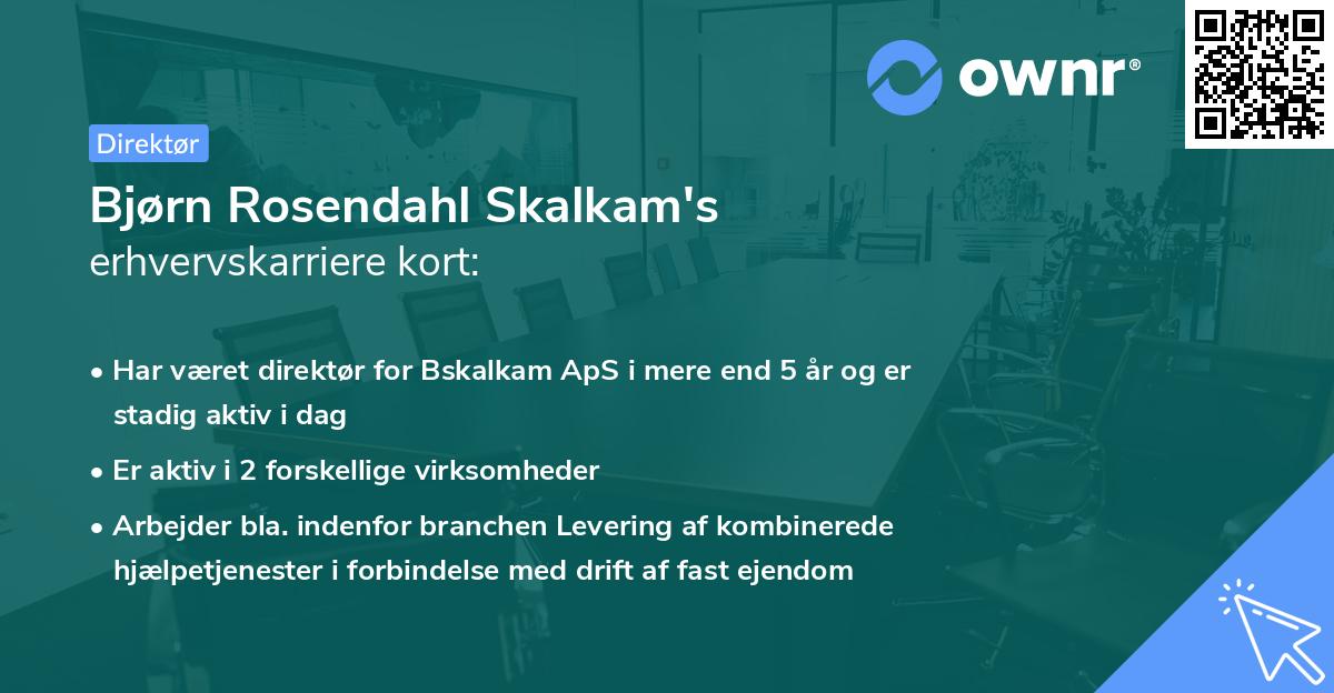 Bjørn Rosendahl Skalkam's erhvervskarriere kort