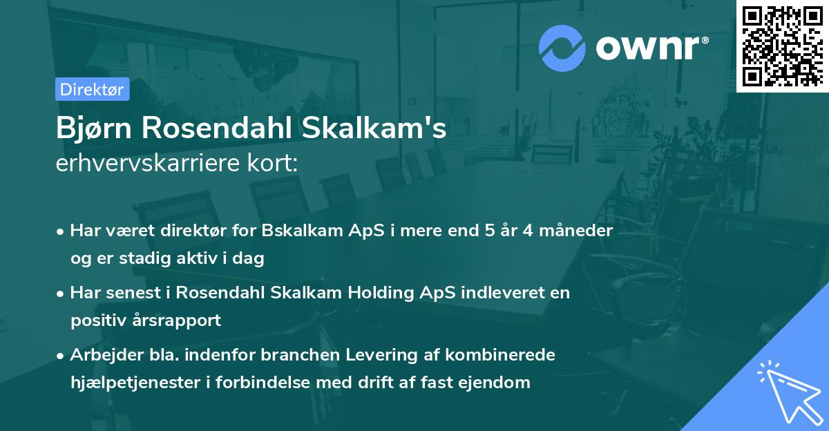 Bjørn Rosendahl Skalkam's erhvervskarriere kort