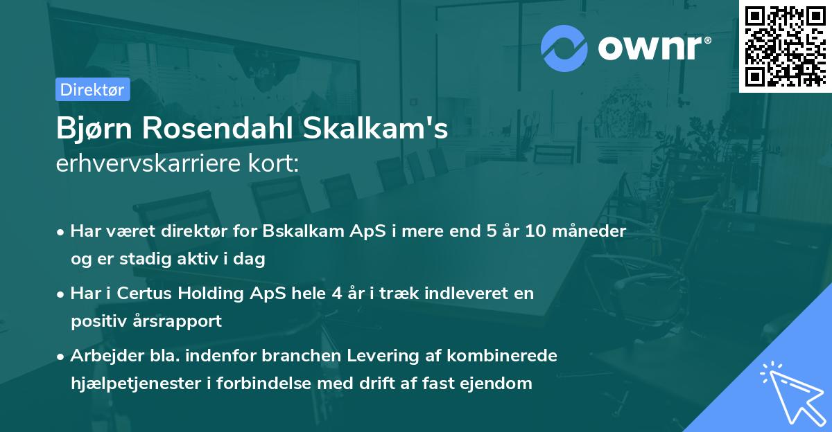 Bjørn Rosendahl Skalkam's erhvervskarriere kort