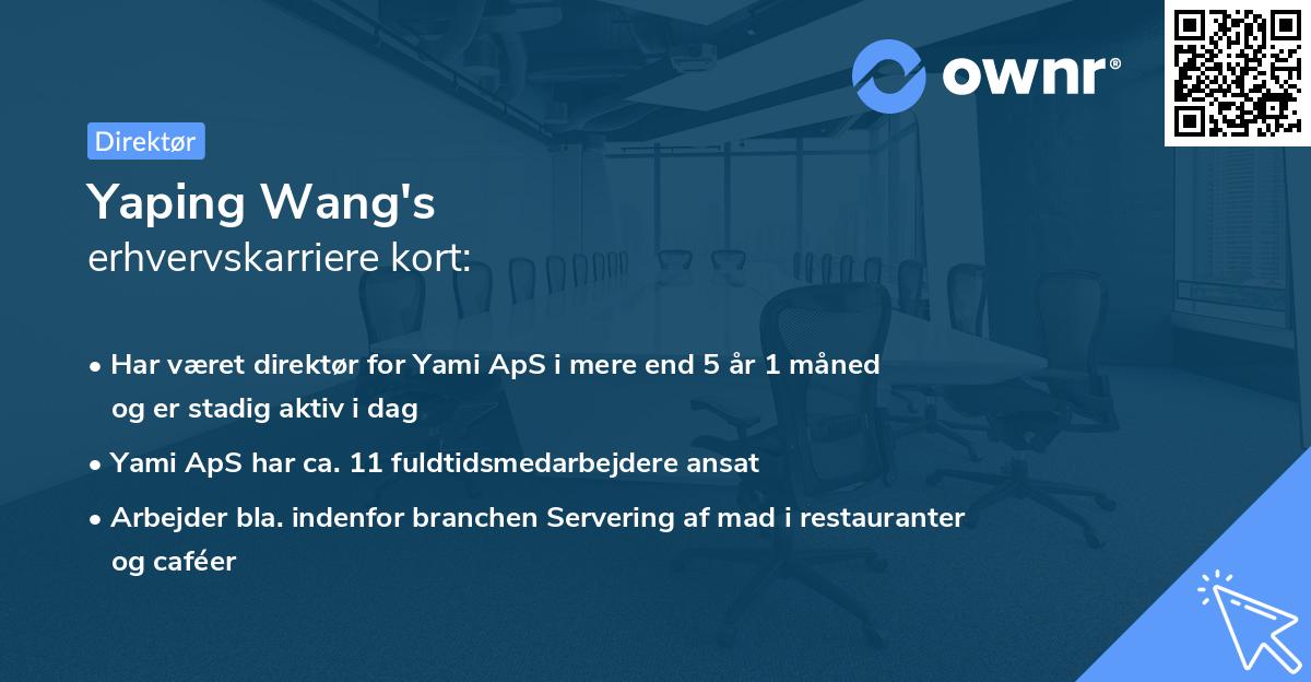 Yaping Wang's erhvervskarriere kort