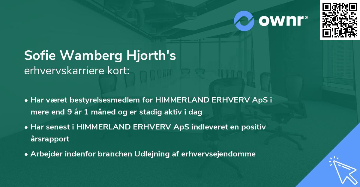 Sofie Wamberg Hjorth's erhvervskarriere kort
