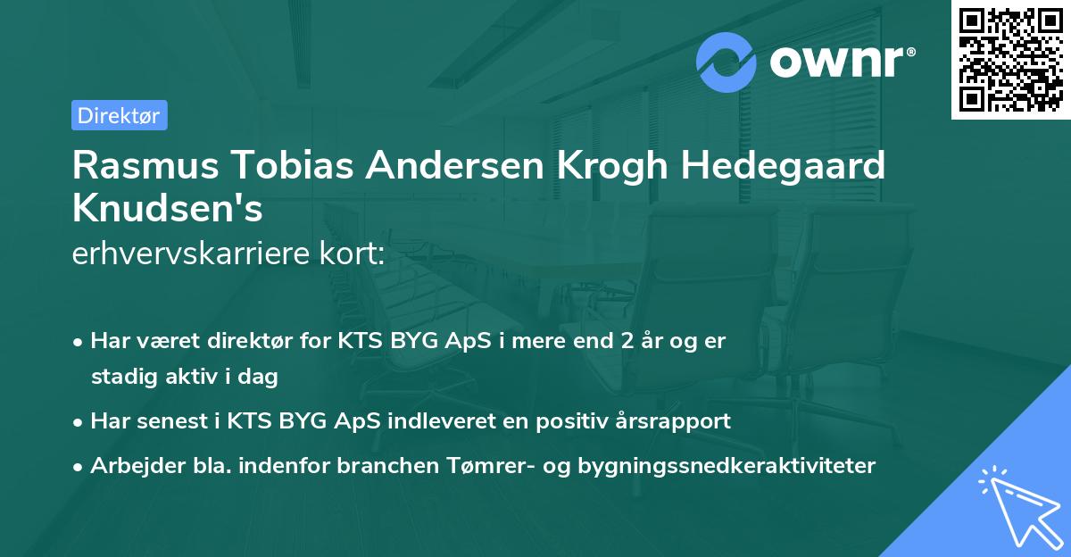 Rasmus Tobias Andersen Krogh Hedegaard Knudsen's erhvervskarriere kort