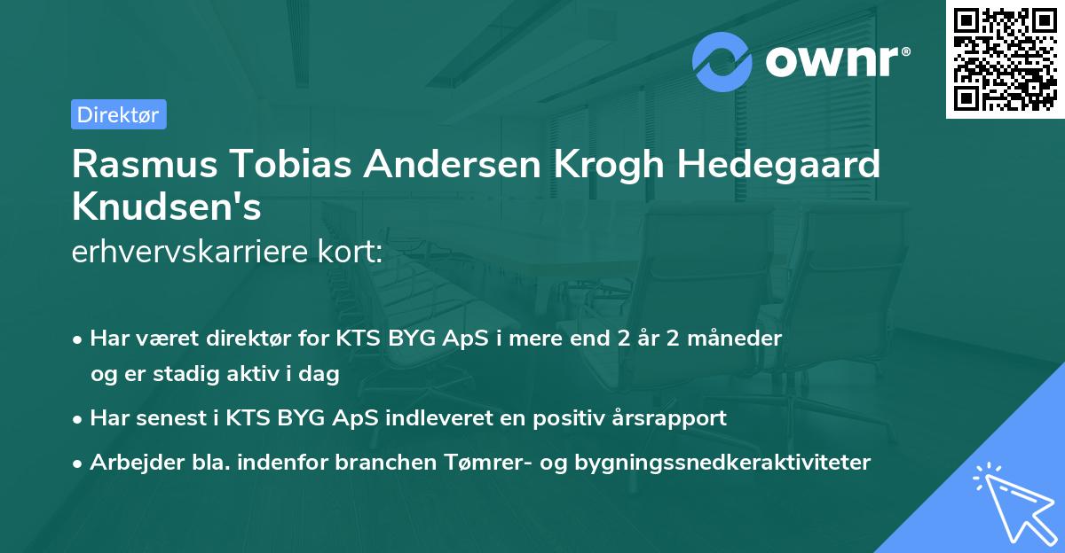 Rasmus Tobias Andersen Krogh Hedegaard Knudsen's erhvervskarriere kort