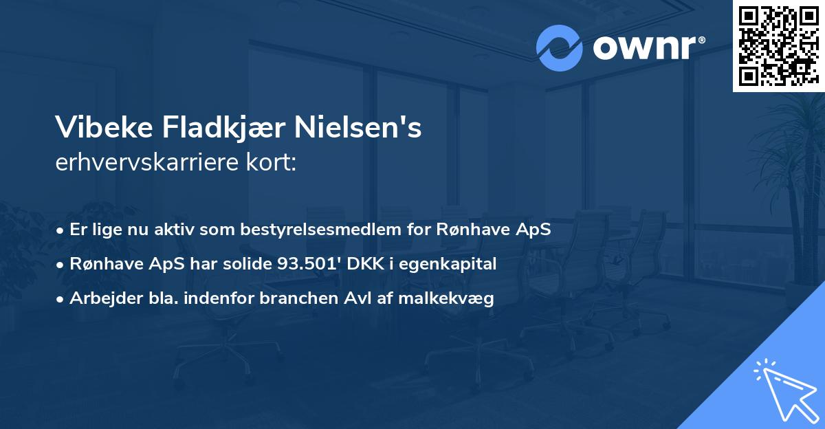 Vibeke Fladkjær Nielsen's erhvervskarriere kort