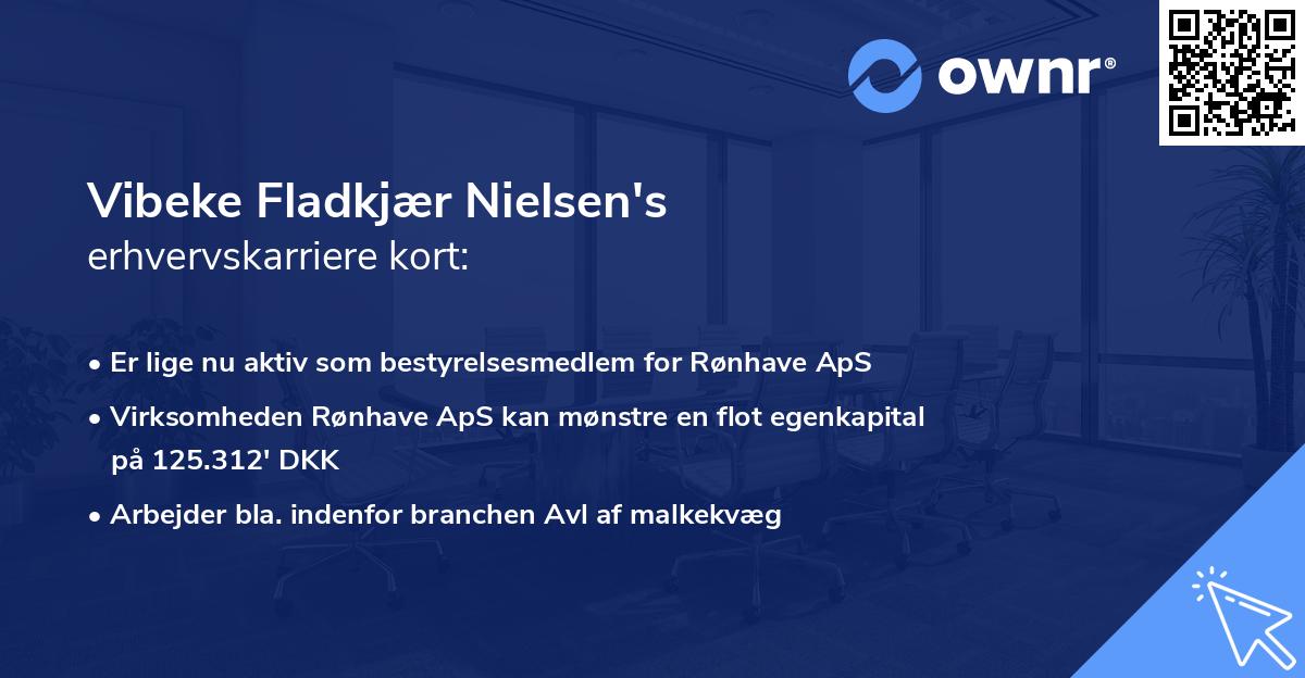 Vibeke Fladkjær Nielsen's erhvervskarriere kort