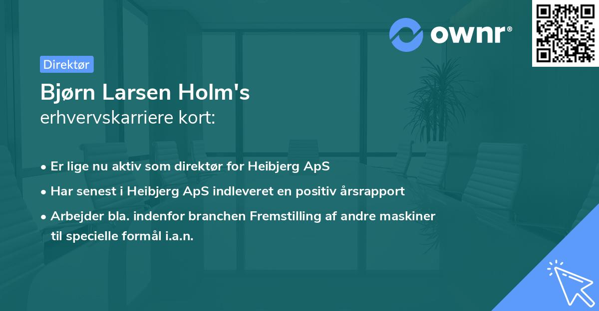 Bjørn Larsen Holm's erhvervskarriere kort