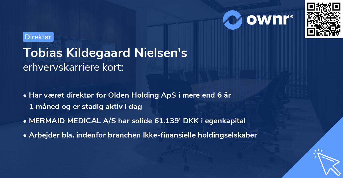 Tobias Kildegaard Nielsen's erhvervskarriere kort