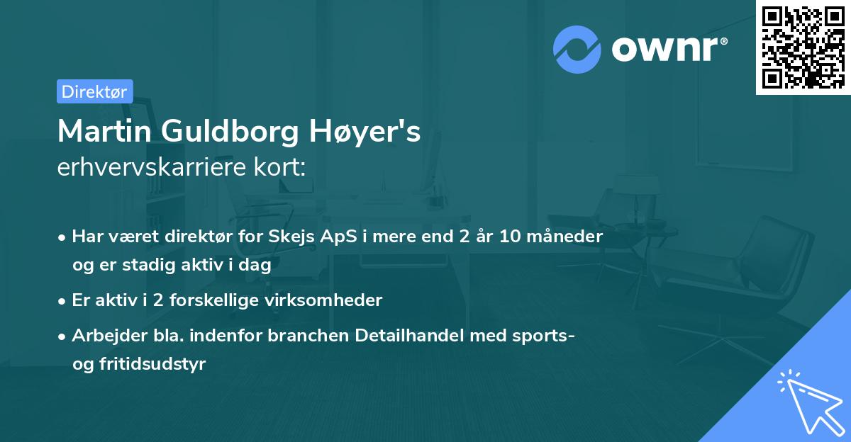 Martin Guldborg Høyer's erhvervskarriere kort