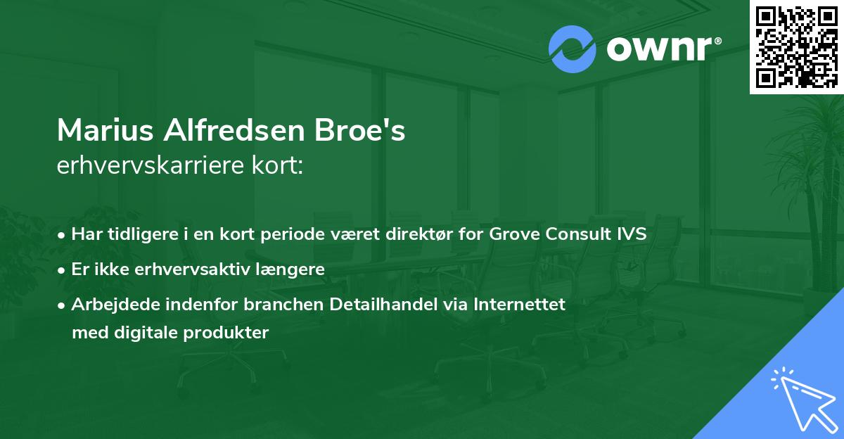 Marius Alfredsen Broe's erhvervskarriere kort