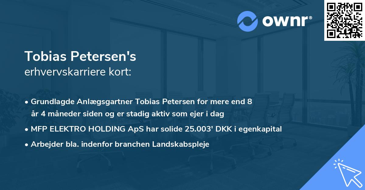Tobias Petersen's erhvervskarriere kort
