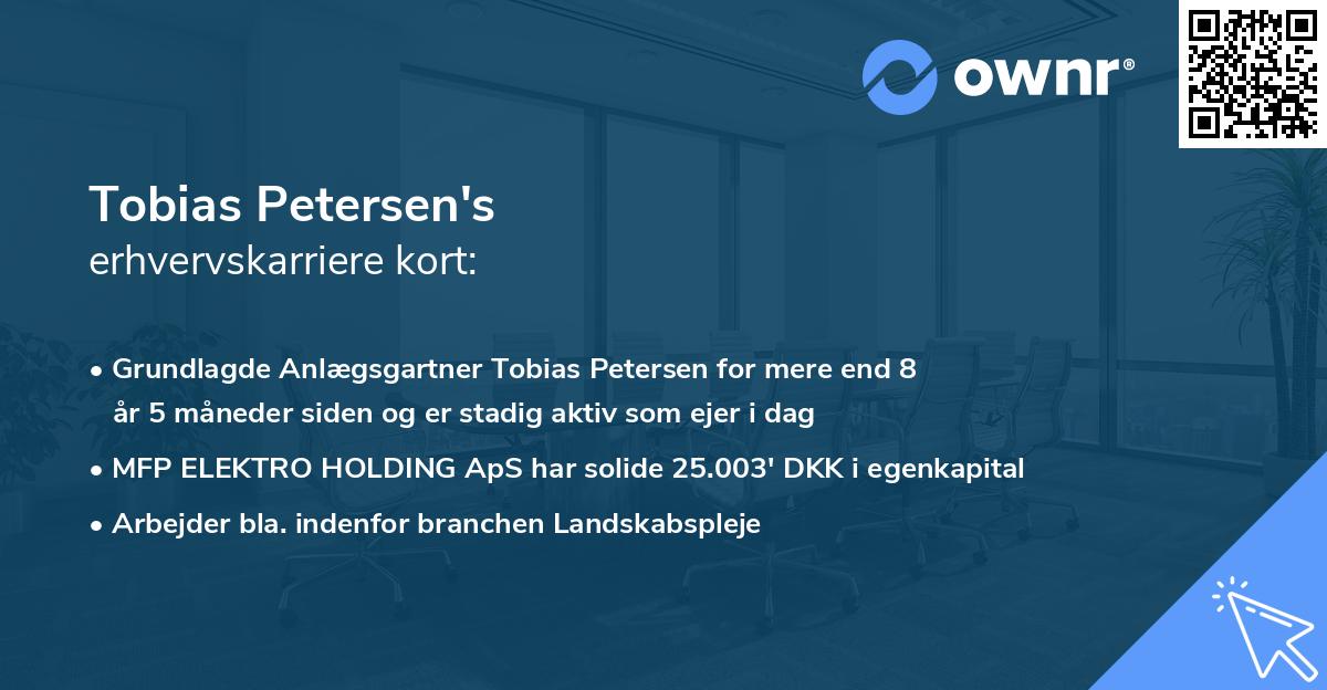 Tobias Petersen's erhvervskarriere kort