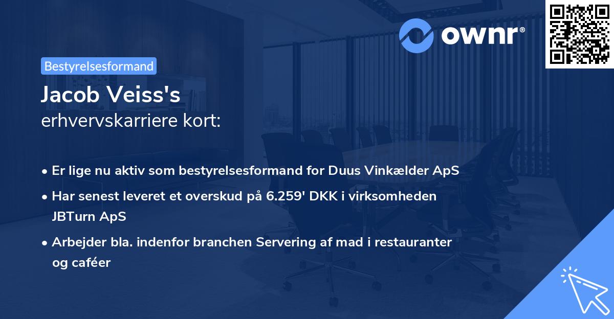 Jacob Veiss's erhvervskarriere kort