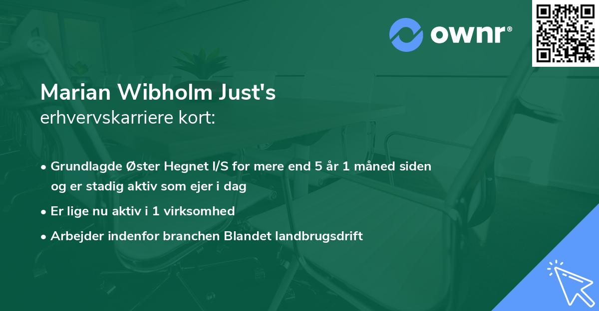 Marian Wibholm Just's erhvervskarriere kort