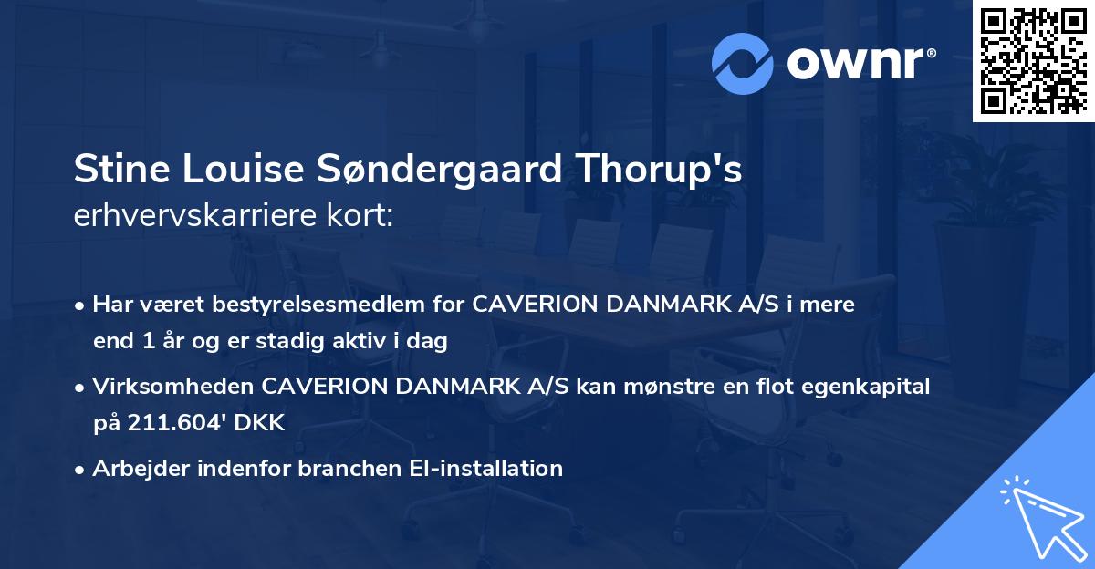 Stine Louise Søndergaard Thorup's erhvervskarriere kort