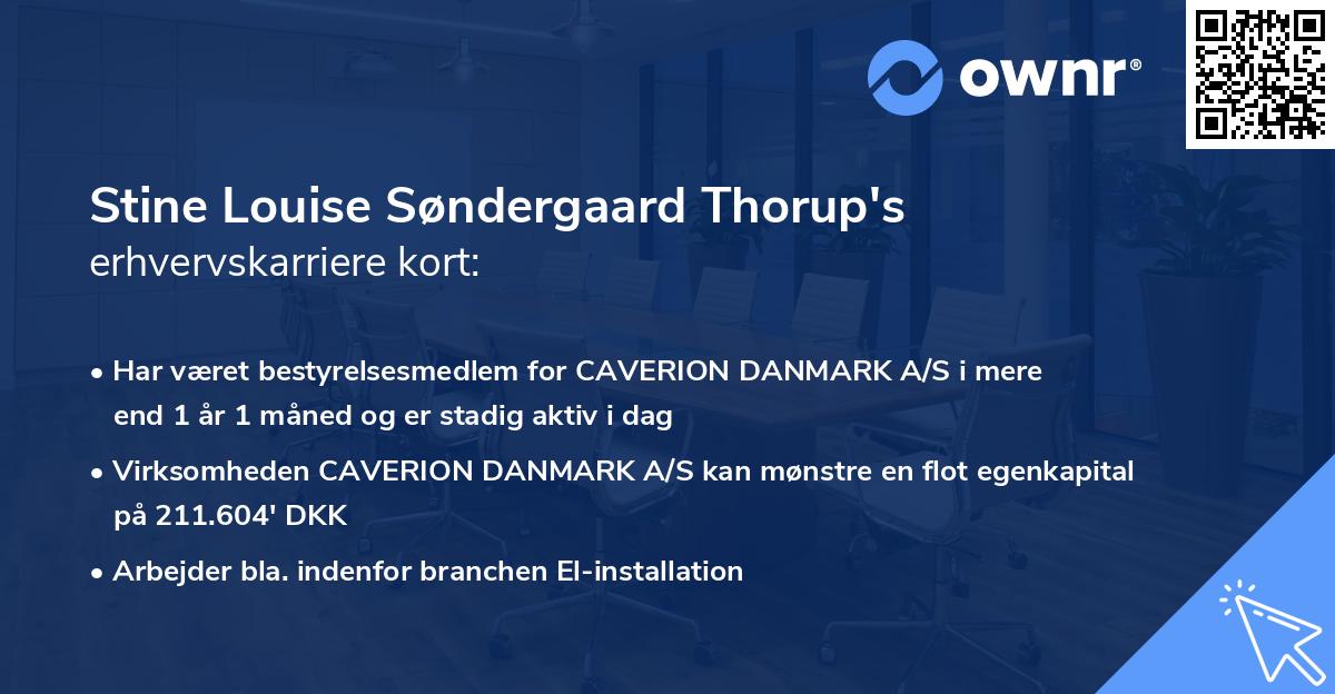 Stine Louise Søndergaard Thorup's erhvervskarriere kort