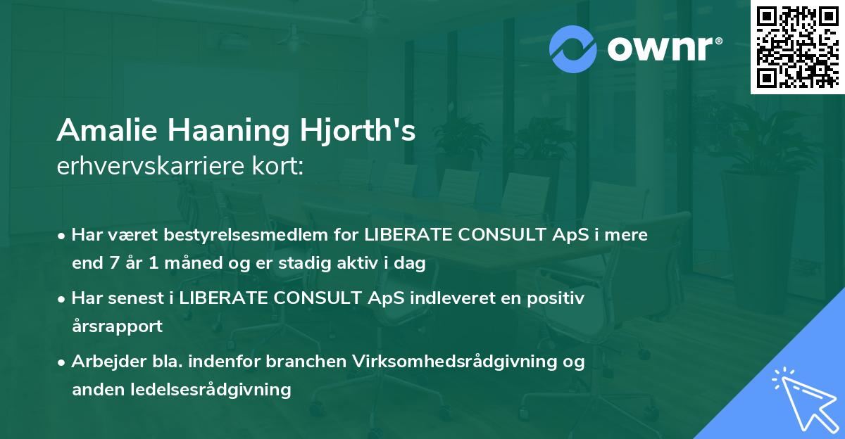 Amalie Haaning Hjorth's erhvervskarriere kort