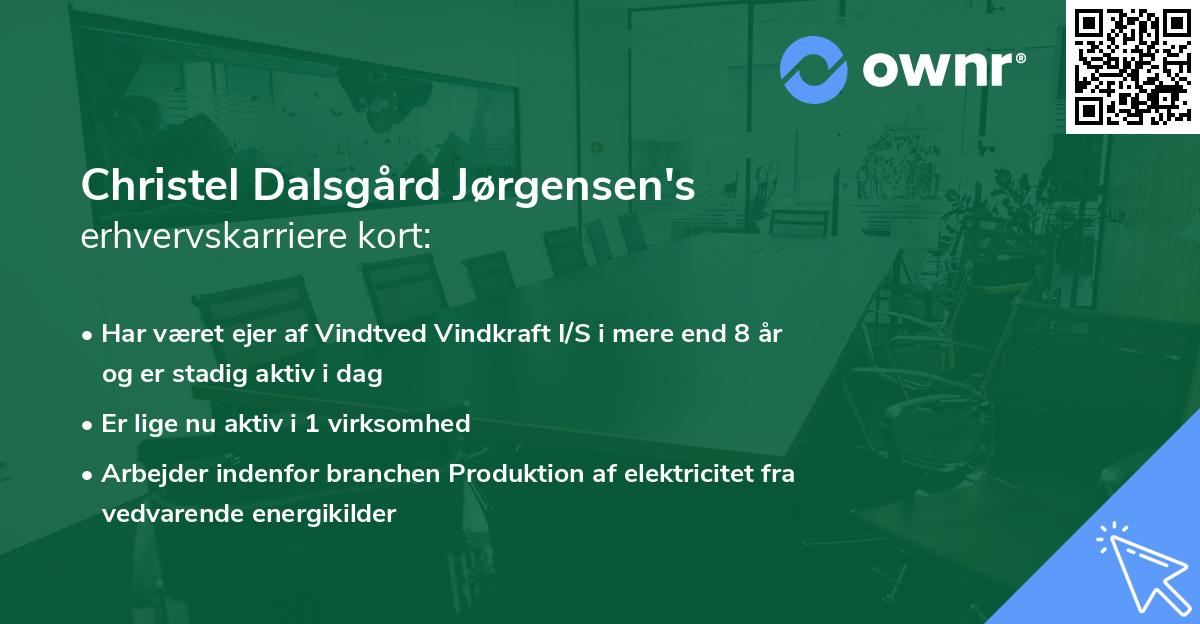 Christel Dalsgård Jørgensen's erhvervskarriere kort