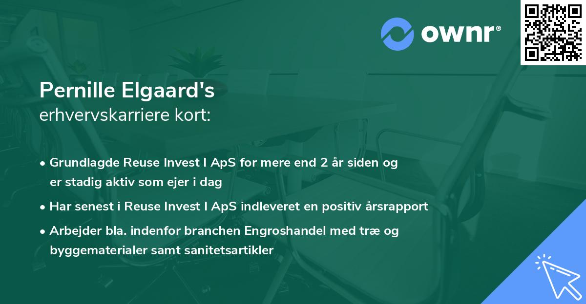 Pernille Elgaard's erhvervskarriere kort