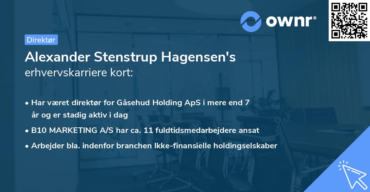Alexander Stenstrup Hagensen's erhvervskarriere kort