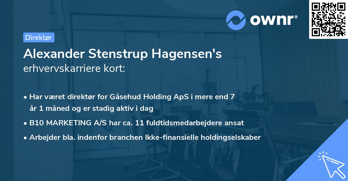 Alexander Stenstrup Hagensen's erhvervskarriere kort