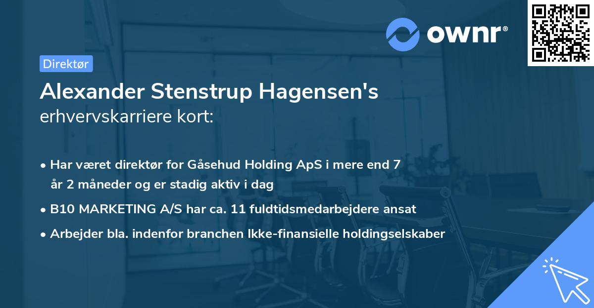 Alexander Stenstrup Hagensen's erhvervskarriere kort