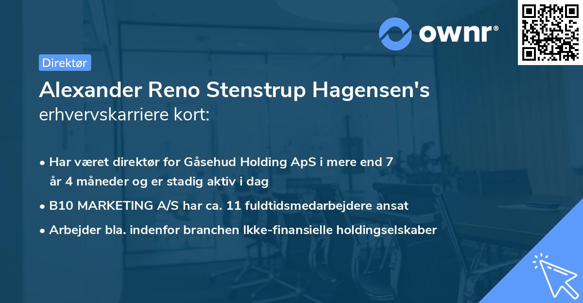 Alexander Reno Stenstrup Hagensen's erhvervskarriere kort