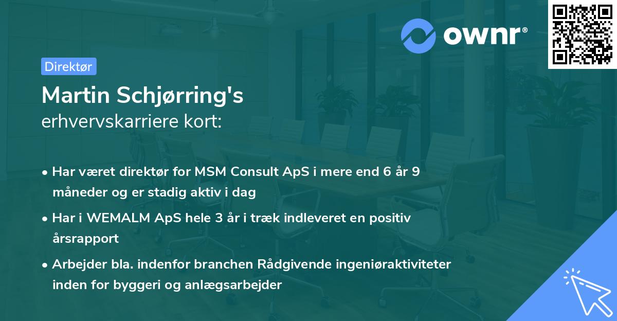 Martin Schjørring's erhvervskarriere kort