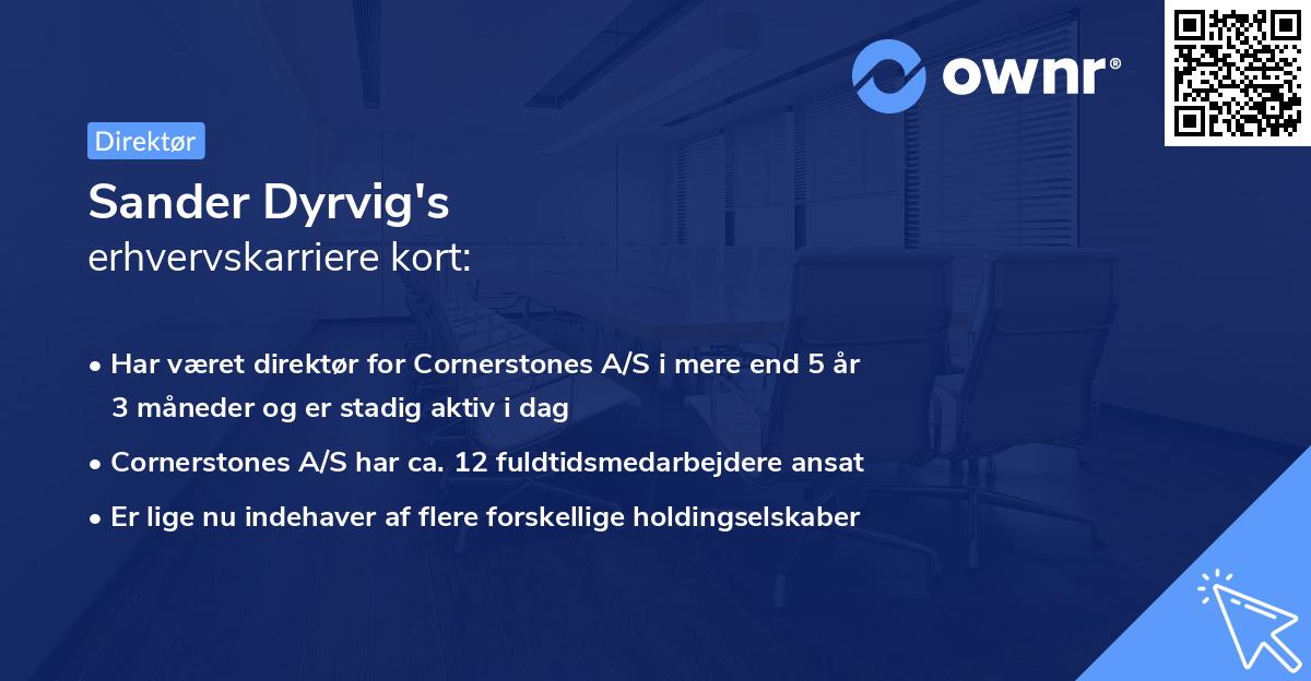 Sander Dyrvig's erhvervskarriere kort