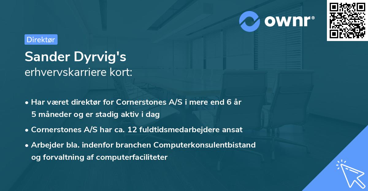 Sander Dyrvig's erhvervskarriere kort