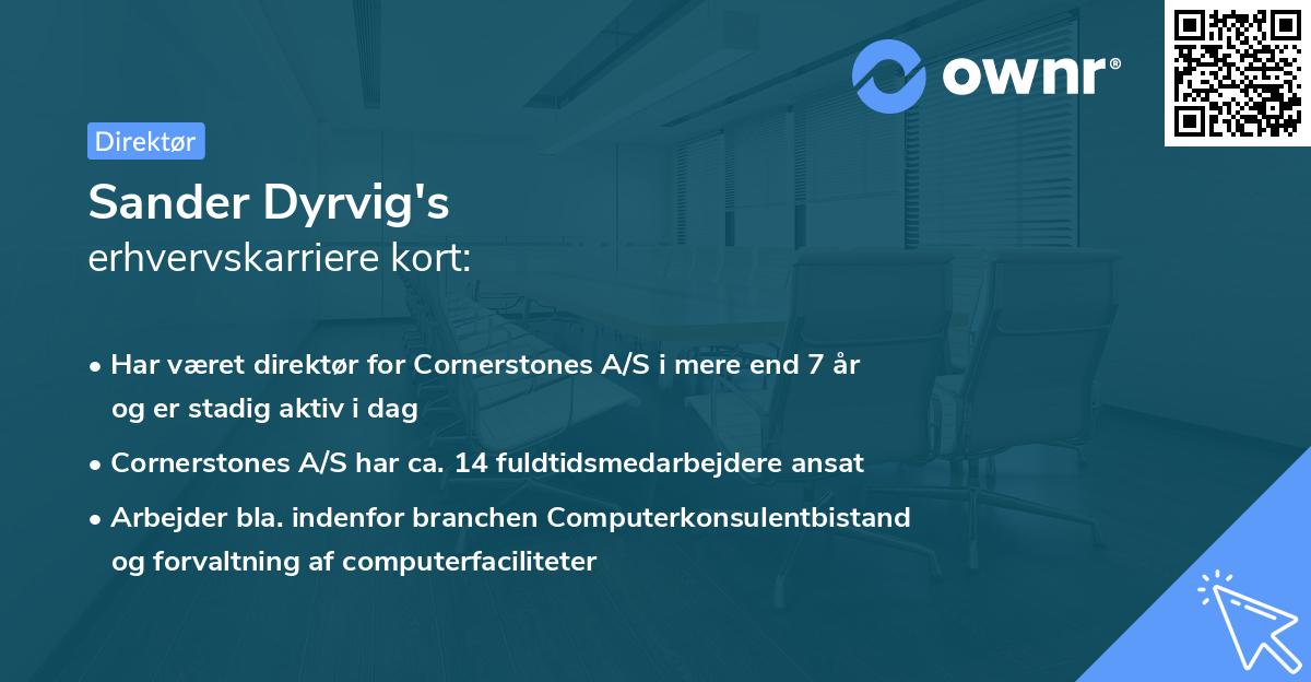 Sander Dyrvig's erhvervskarriere kort