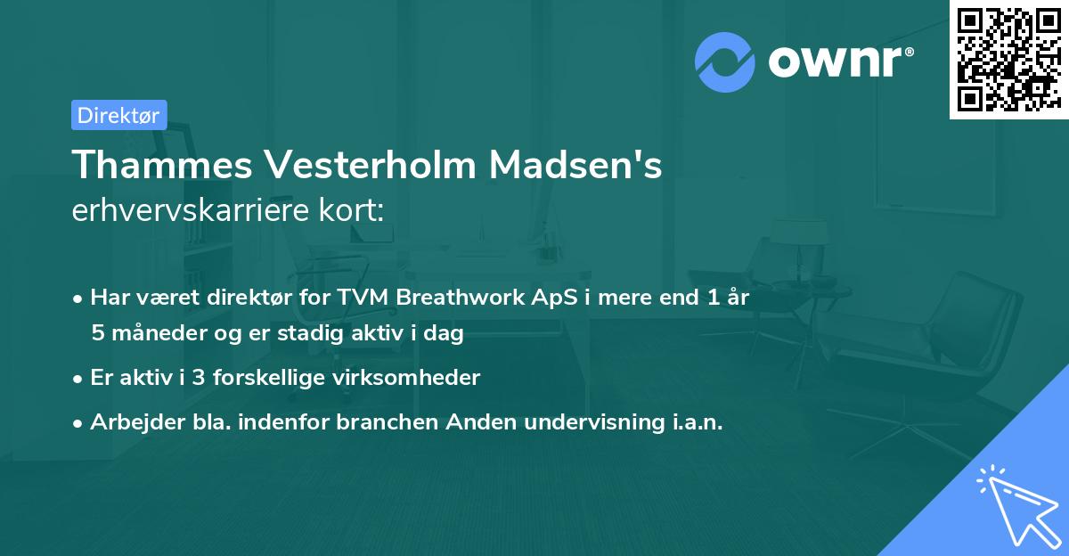 Thammes Vesterholm Madsen's erhvervskarriere kort