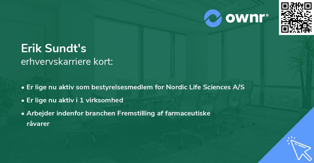 Erik Sundt's erhvervskarriere kort