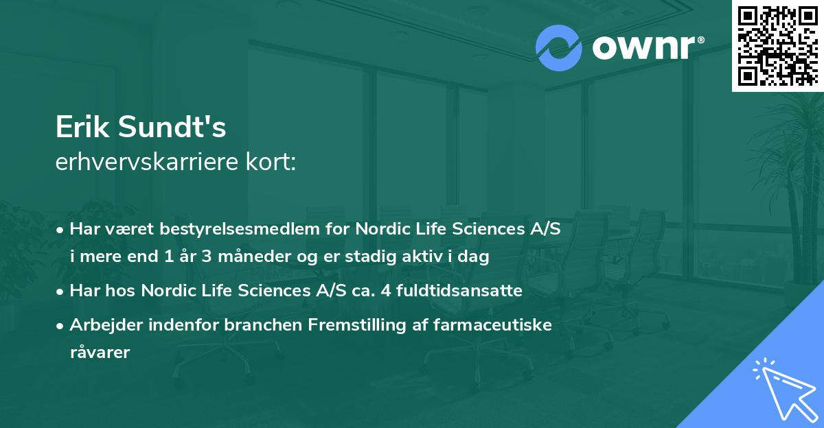 Erik Sundt's erhvervskarriere kort