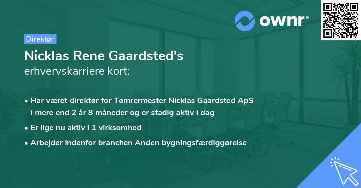 Nicklas Rene Gaardsted's erhvervskarriere kort