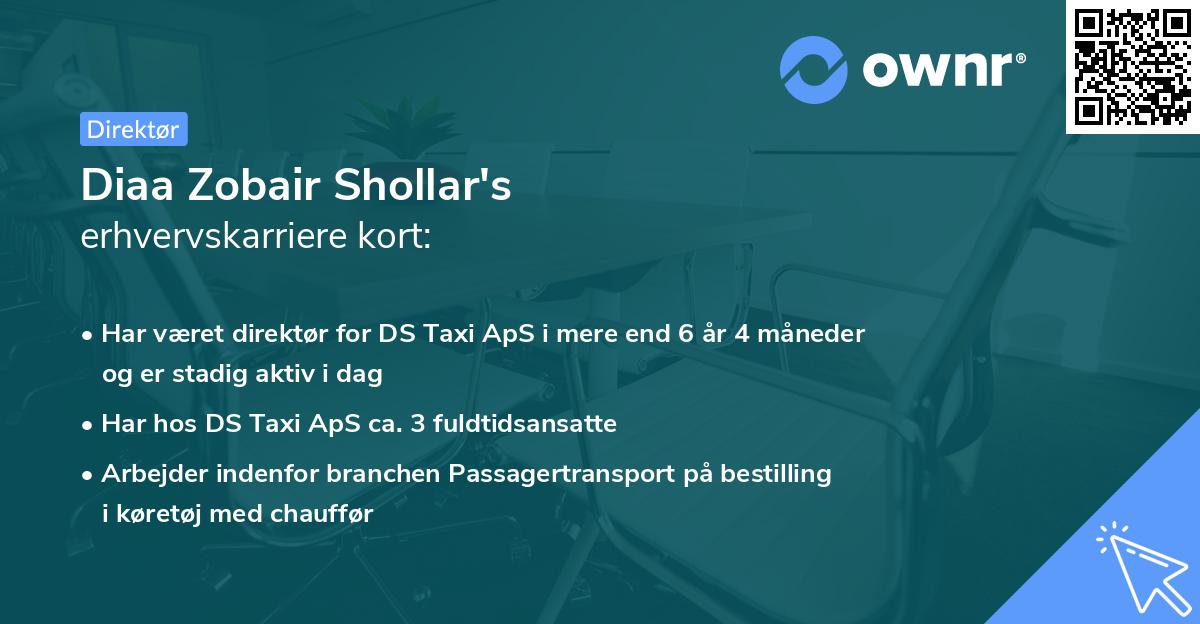 Diaa Zobair Shollar's erhvervskarriere kort